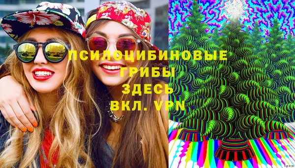 соль курить ск Алзамай