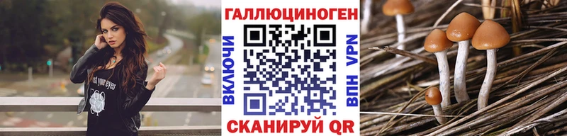Псилоцибиновые грибы Cubensis  хочу наркоту  Новоульяновск 